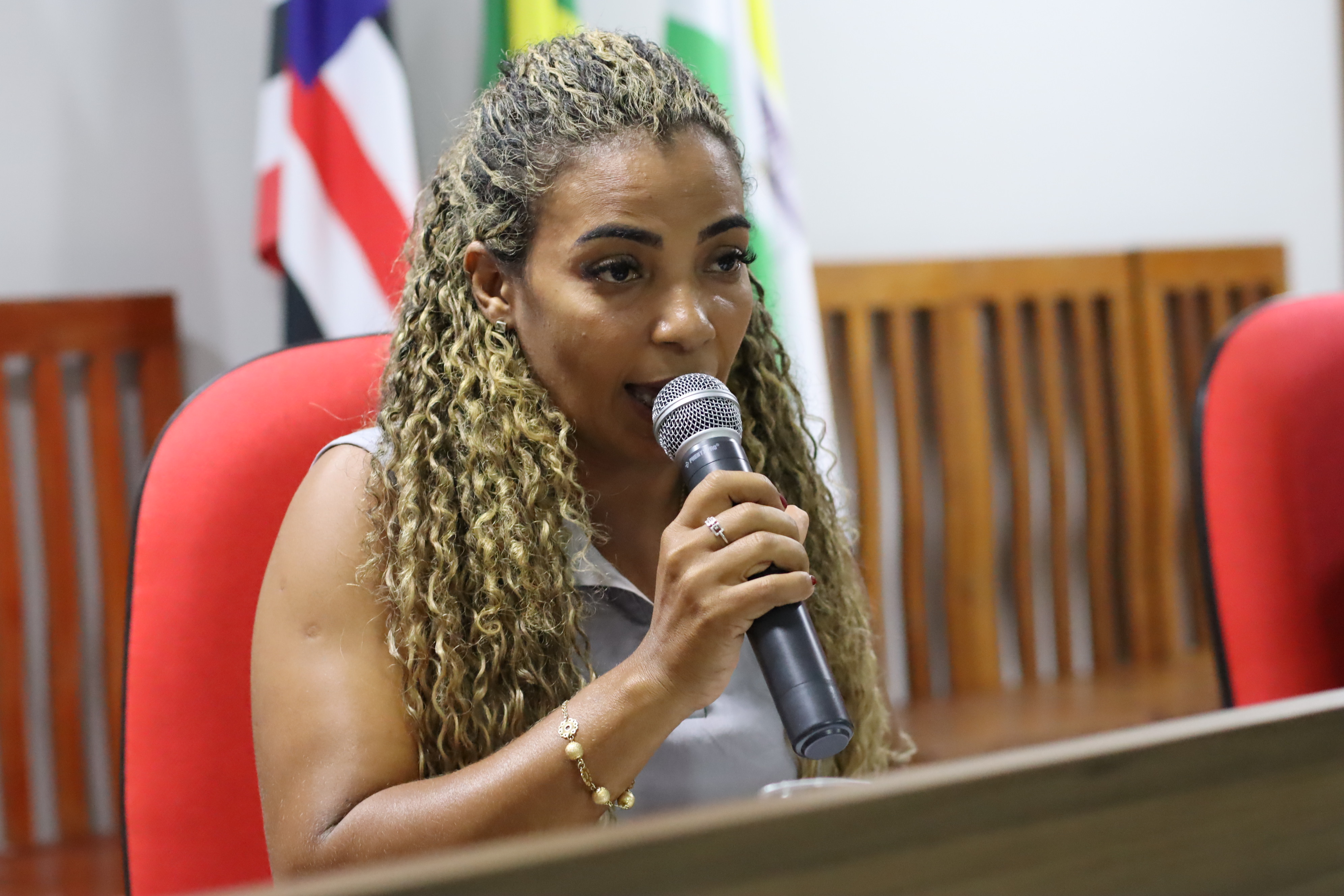 6ª Sessão Plenária