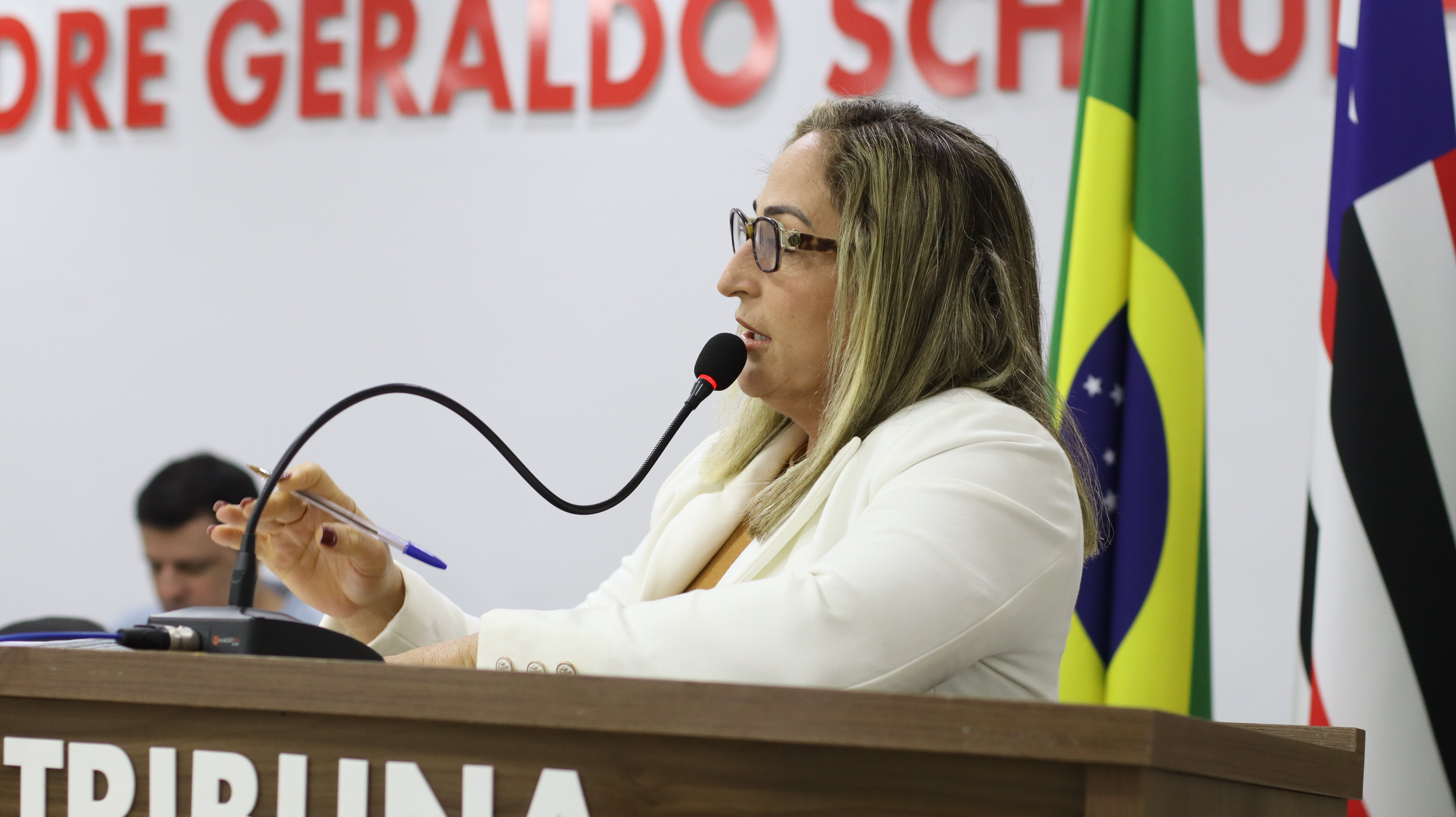 26° SESSÃO PLENÁRIA