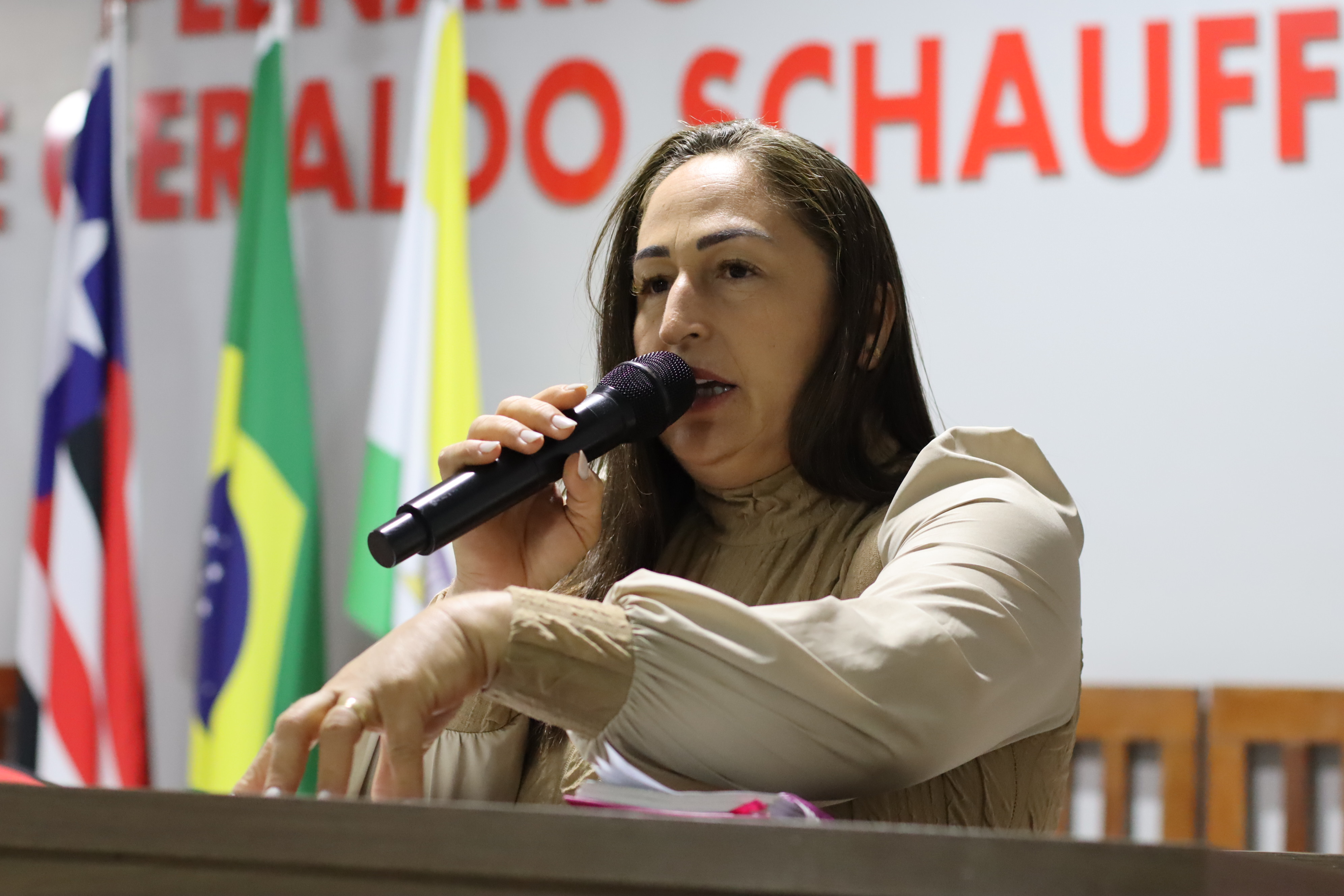 6ª Sessão Plenária