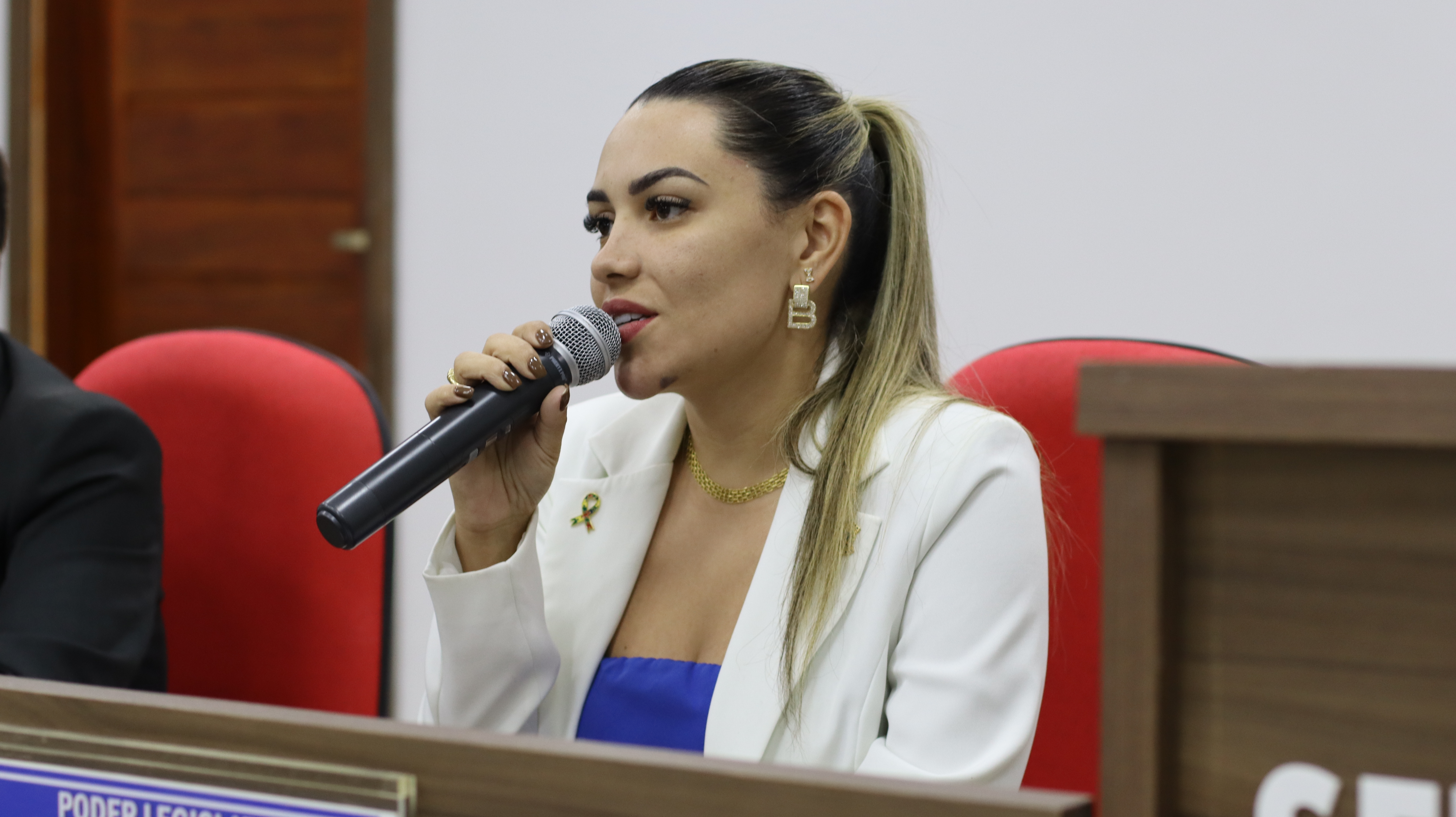 15ª SESSÃO PLENÁRIA