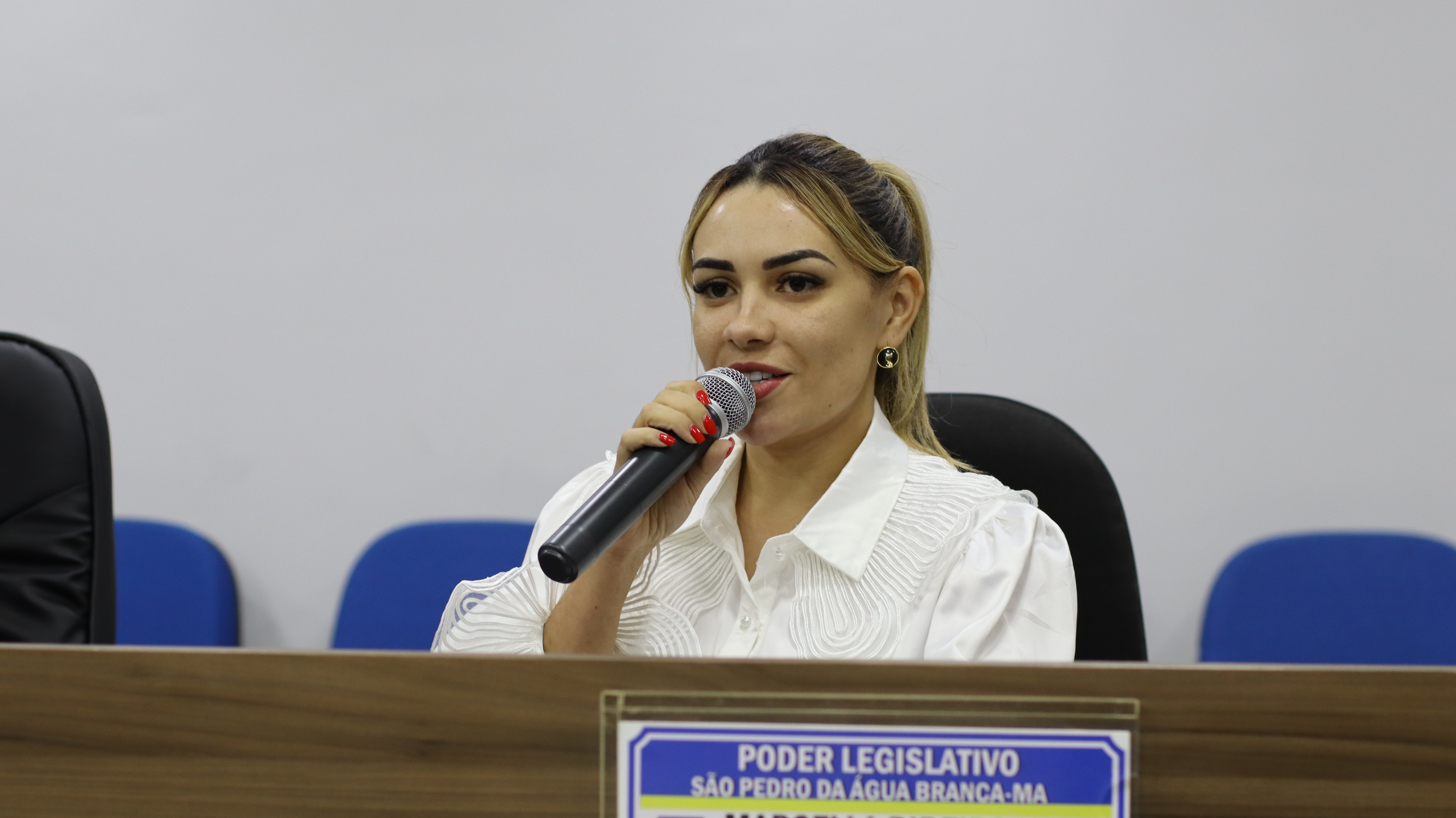 24° SESSÃO PLENÁRIA