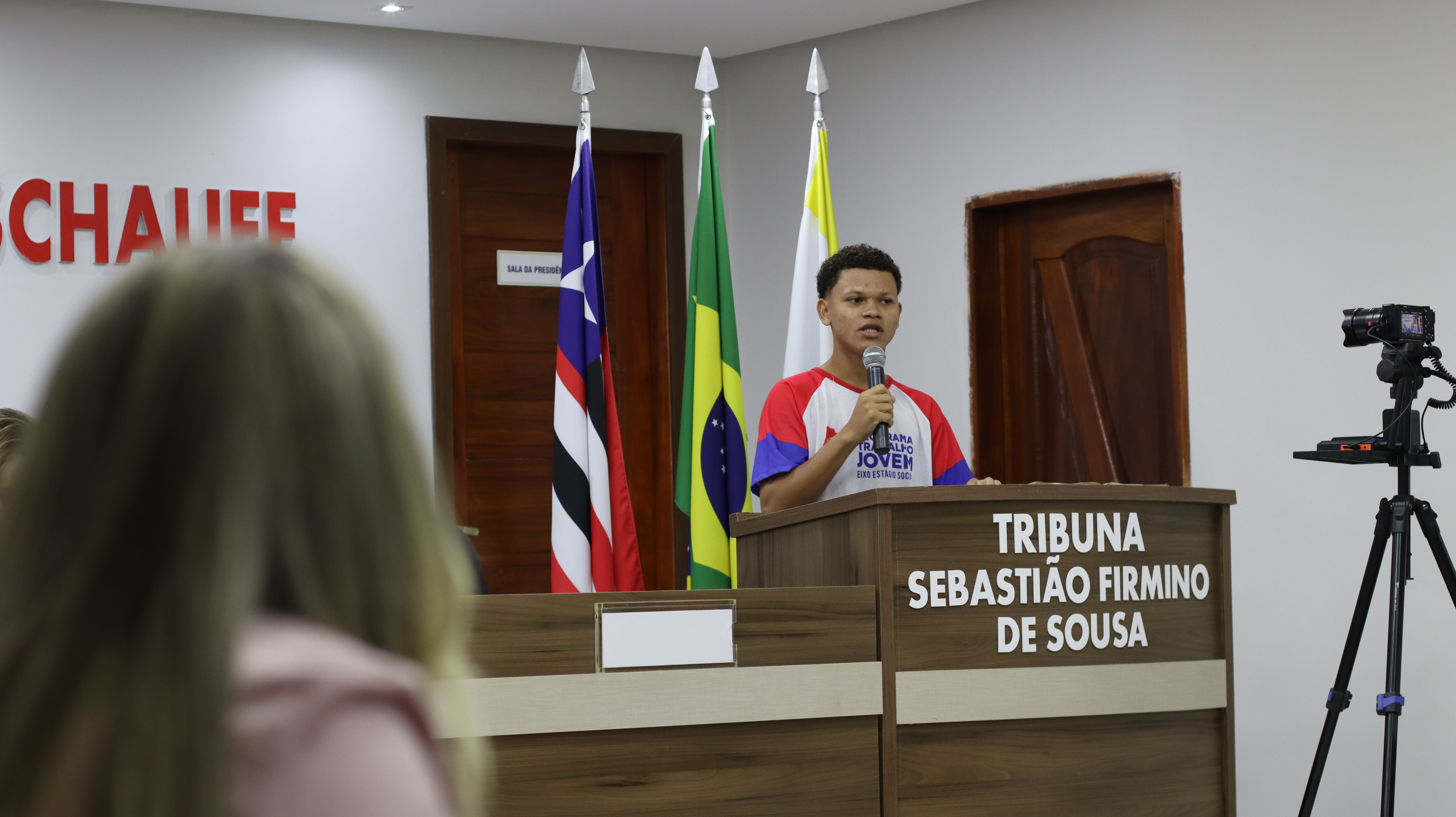 22° SESSÃO PLENÁRIA