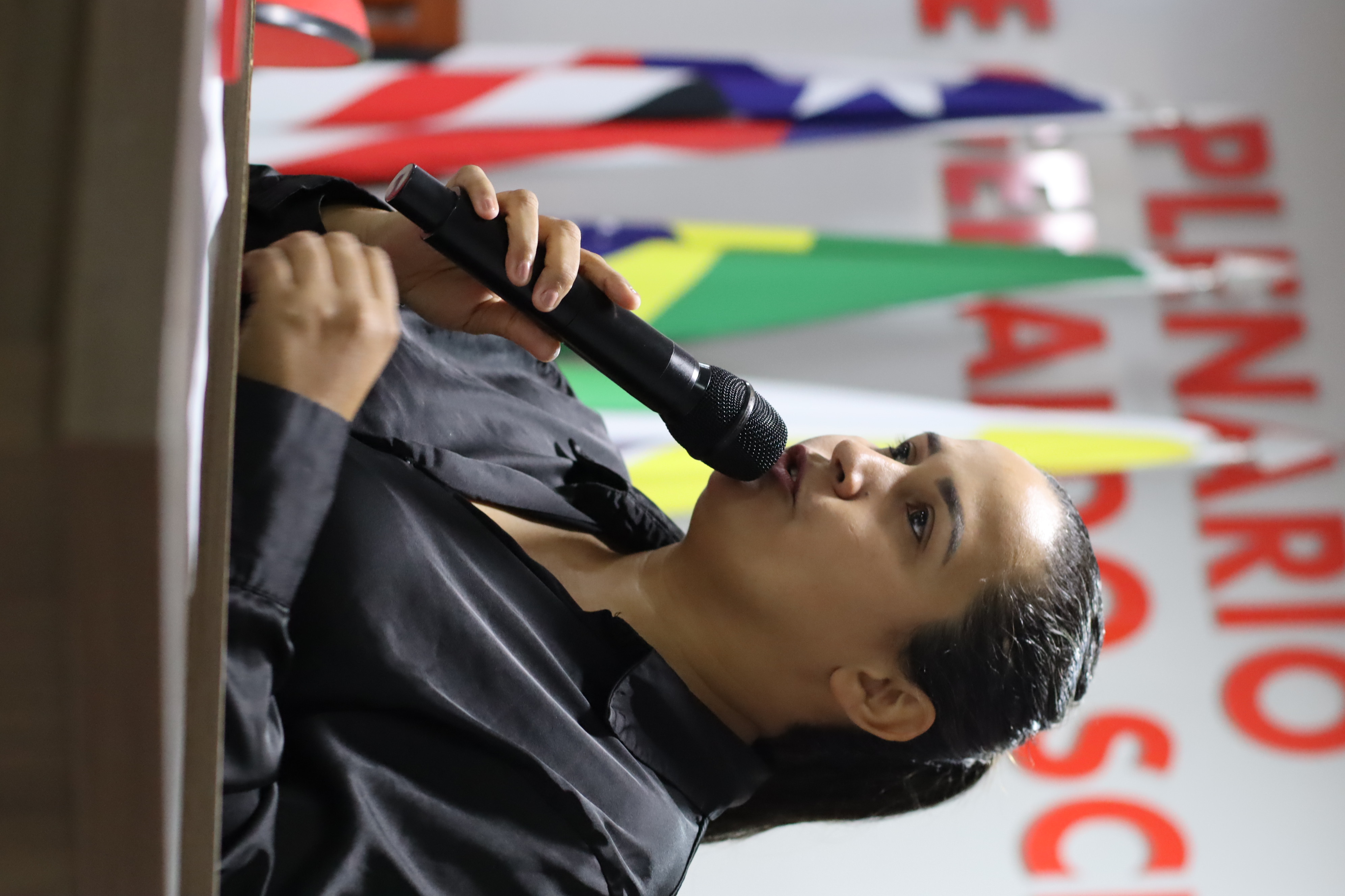 6ª Sessão Plenária