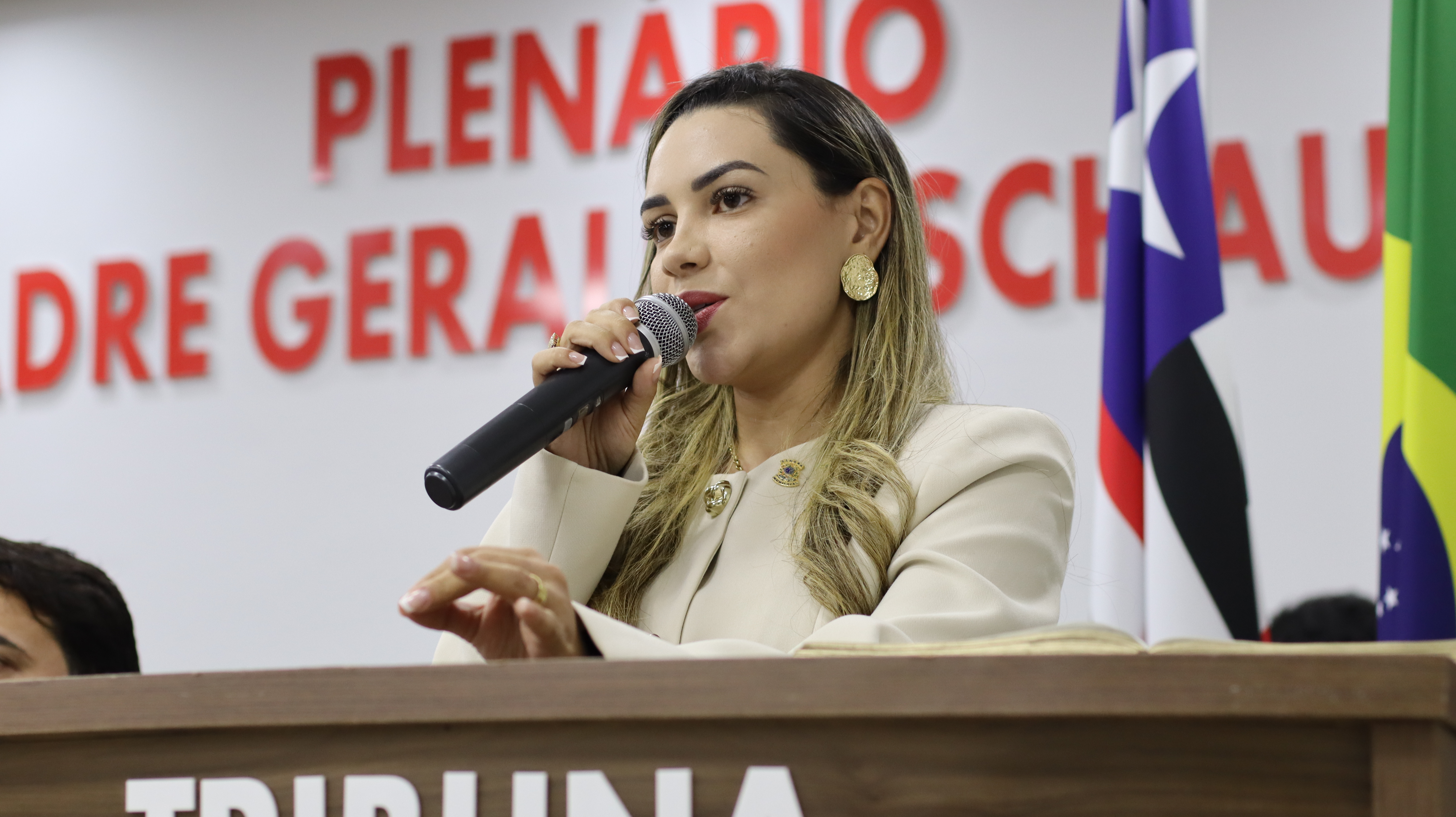 Reinauguração do Plenário