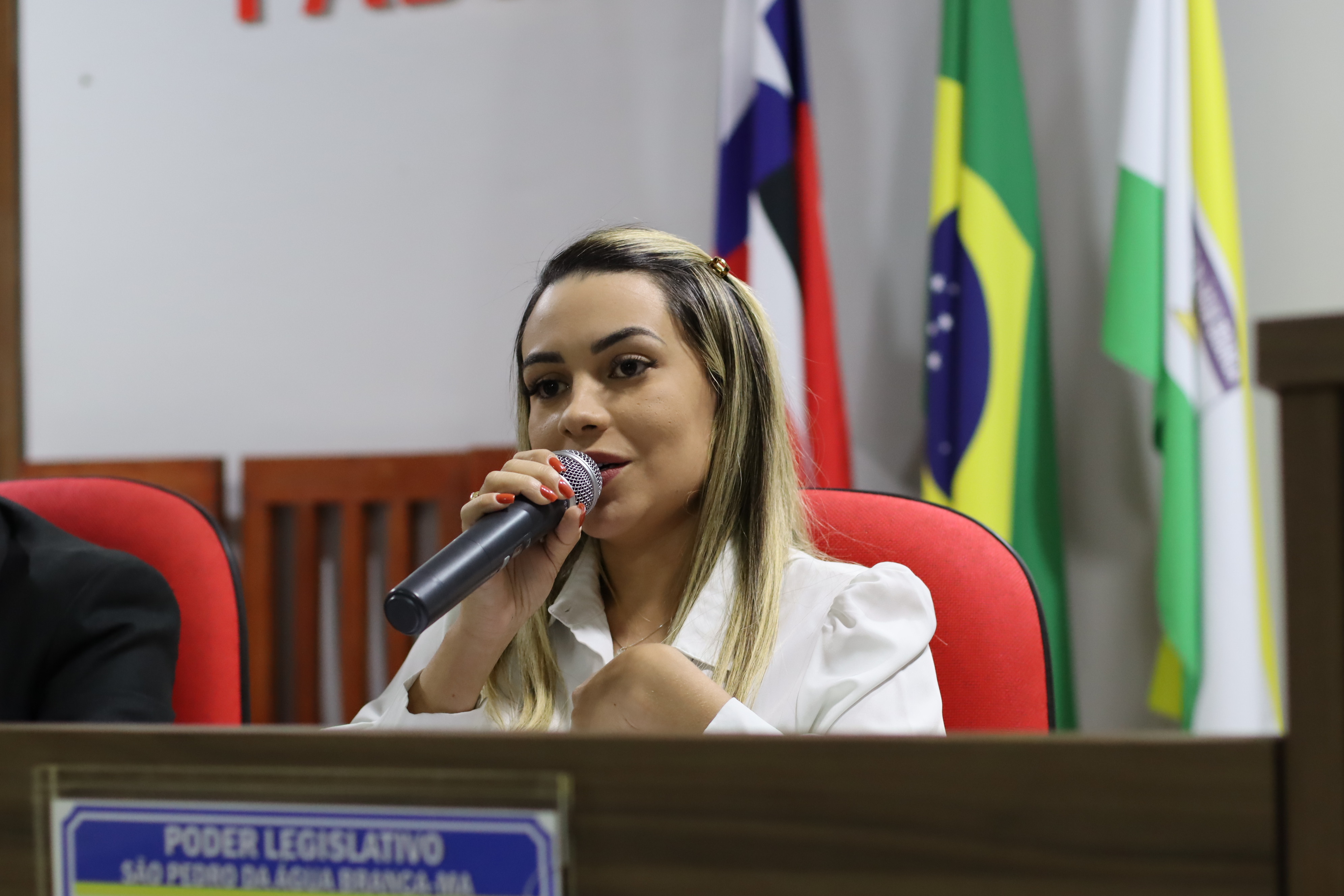6ª Sessão Plenária