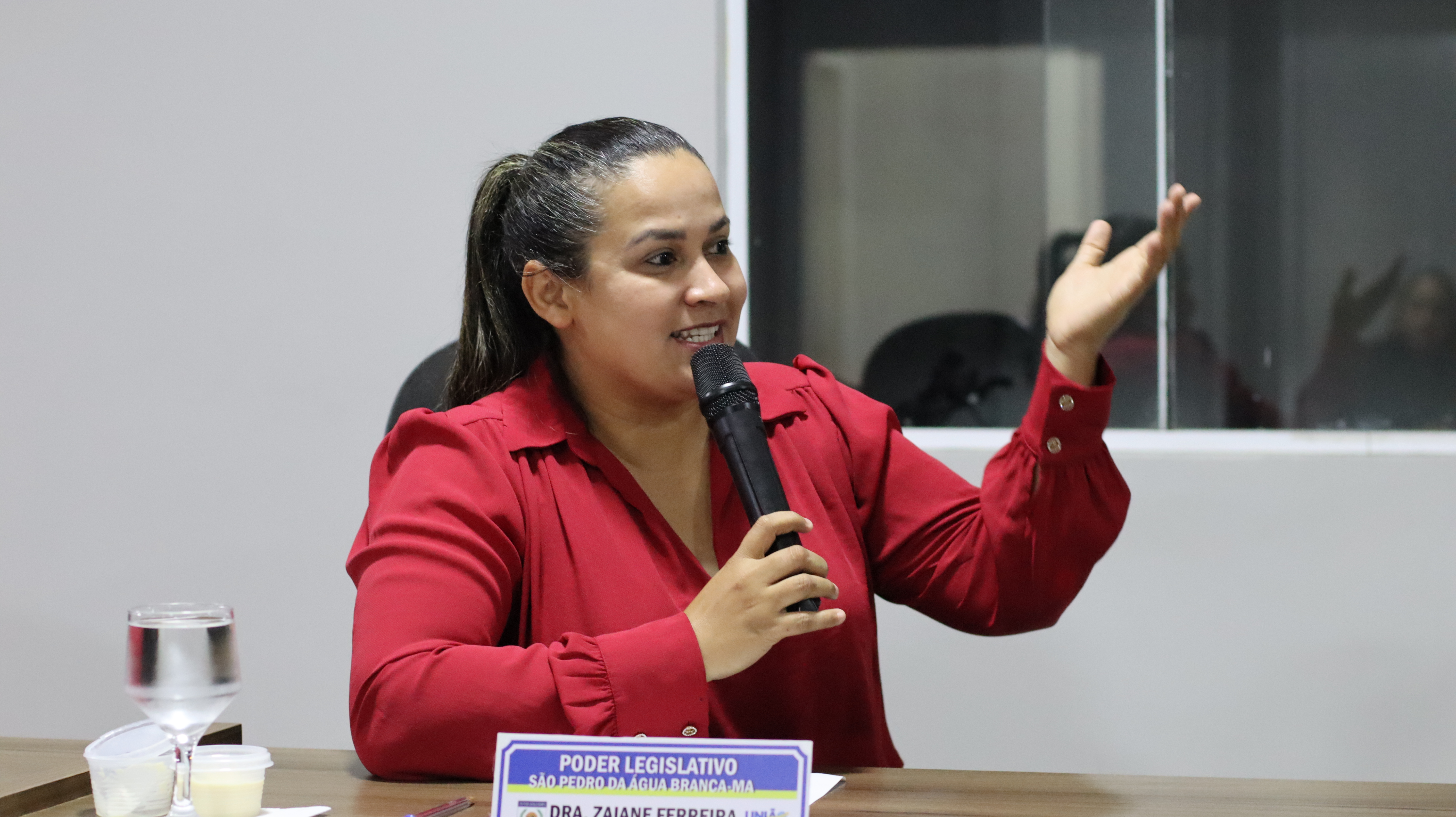 14ª SESSÃO PLENÁRIA