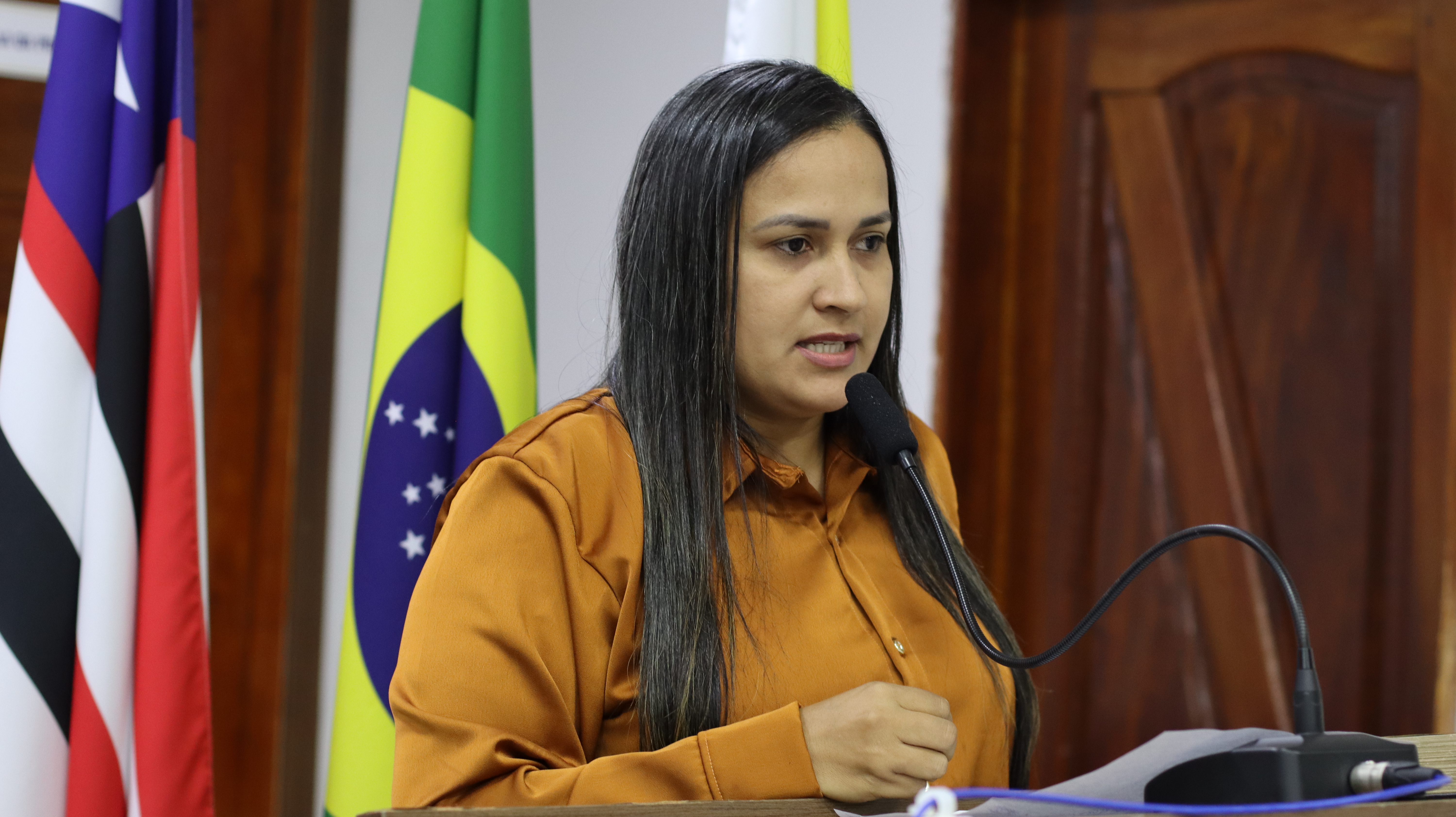 3º Sessão Plenária Ordinária