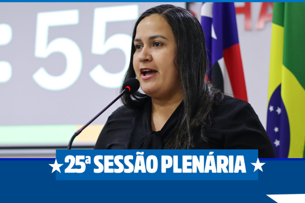 25º Sessão Plenária