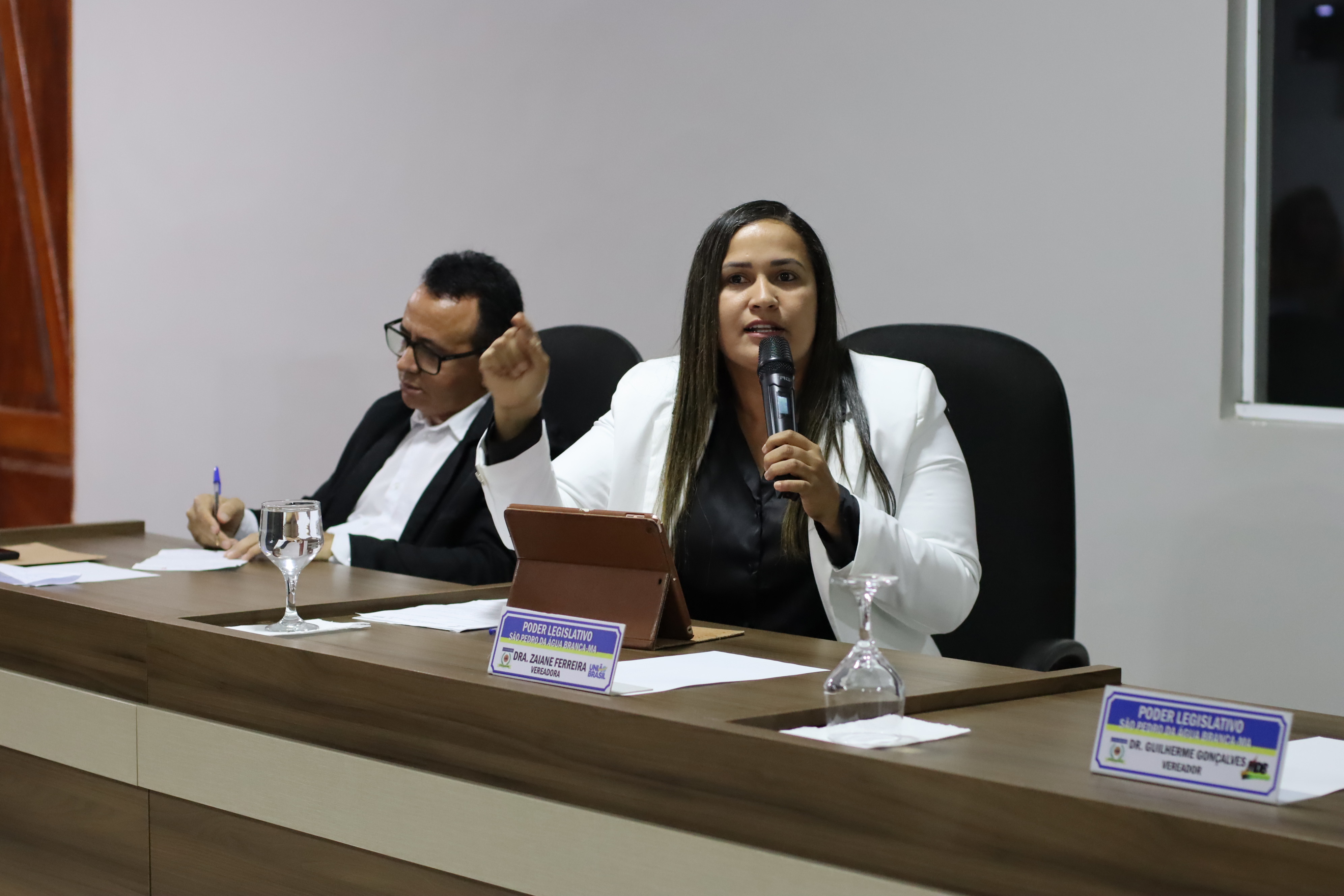8ª Sessão Plenária