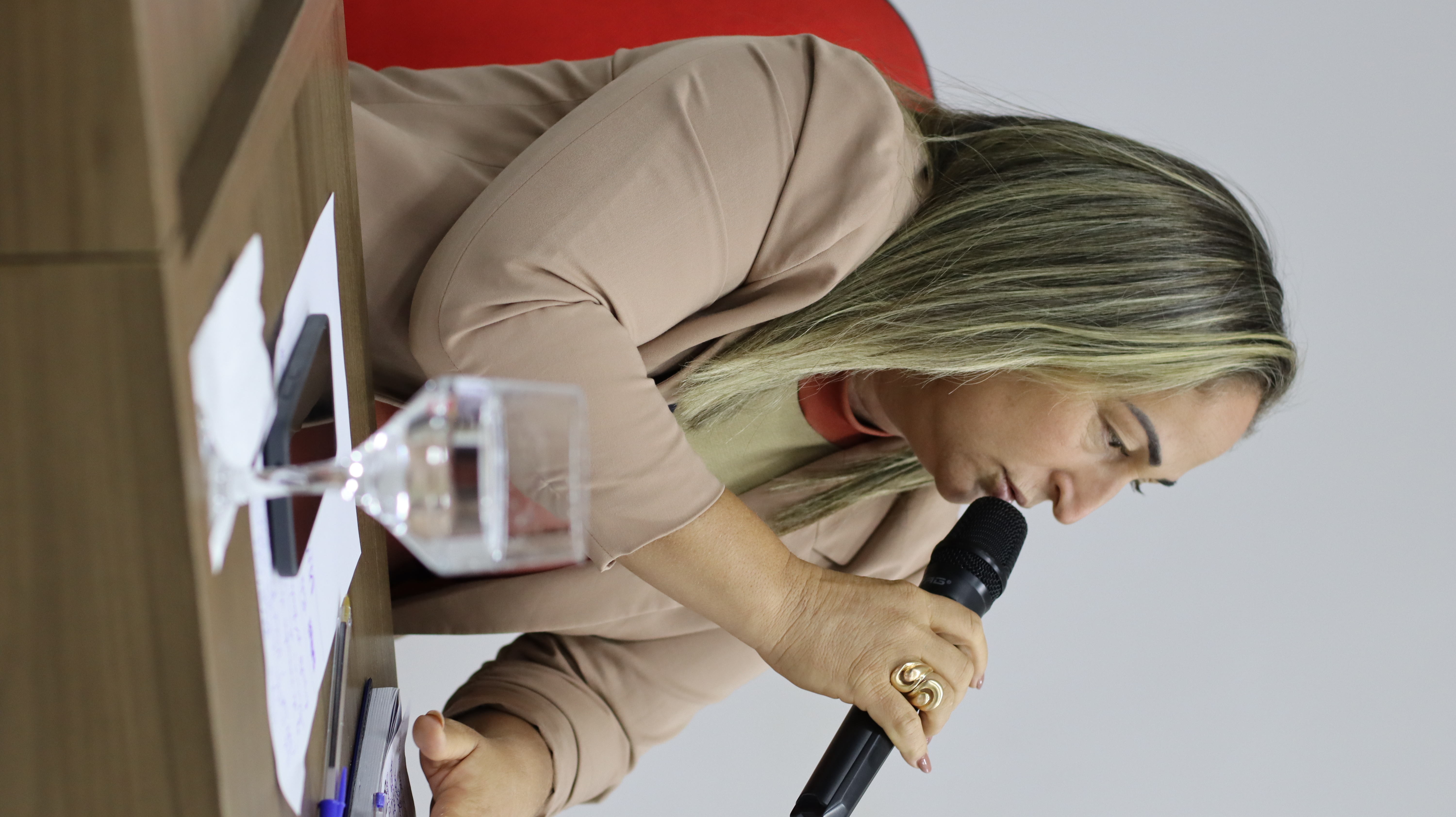 2º Plenária Ordinária