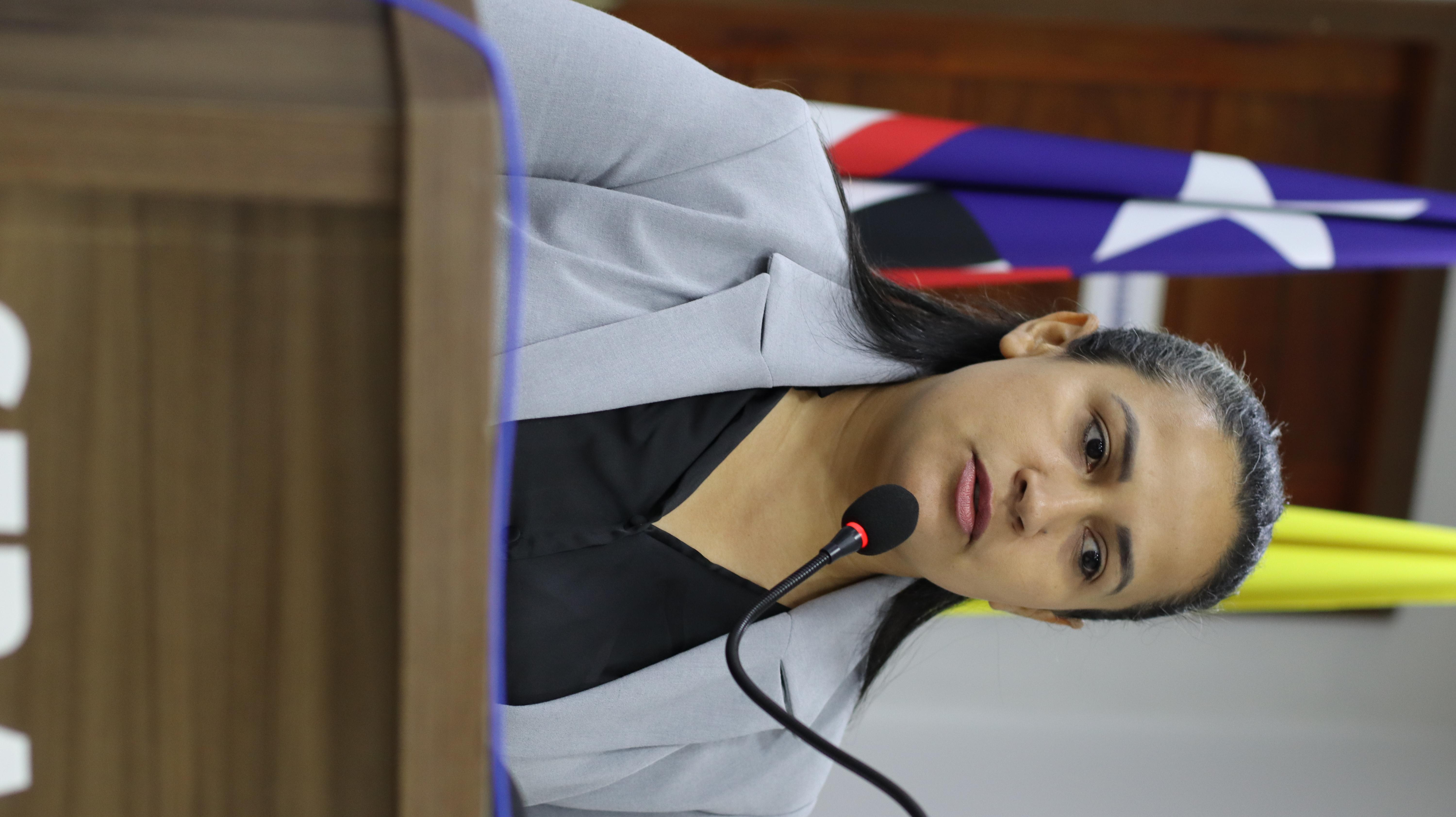 24° SESSÃO PLENÁRIA