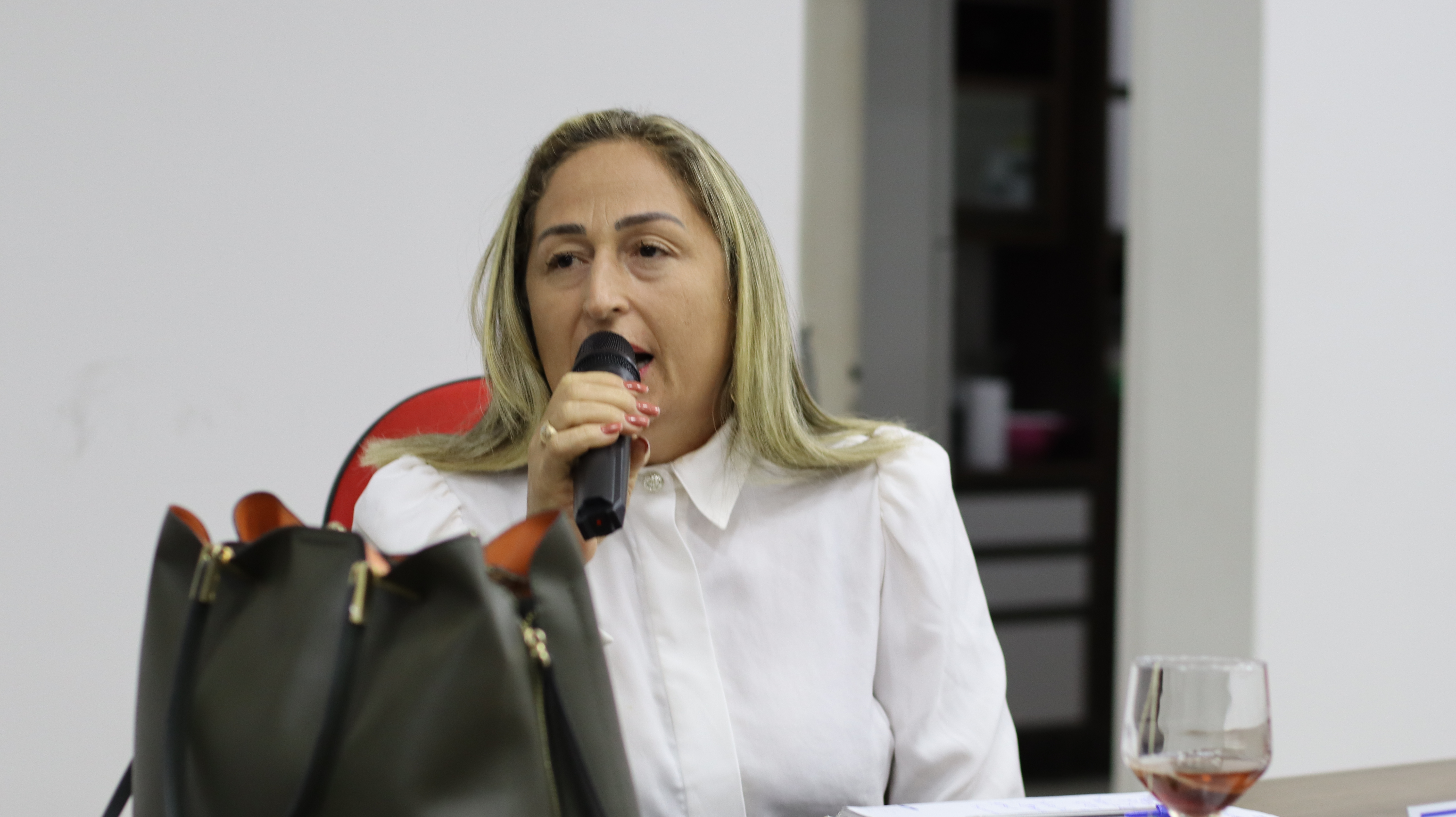 24° SESSÃO PLENÁRIA