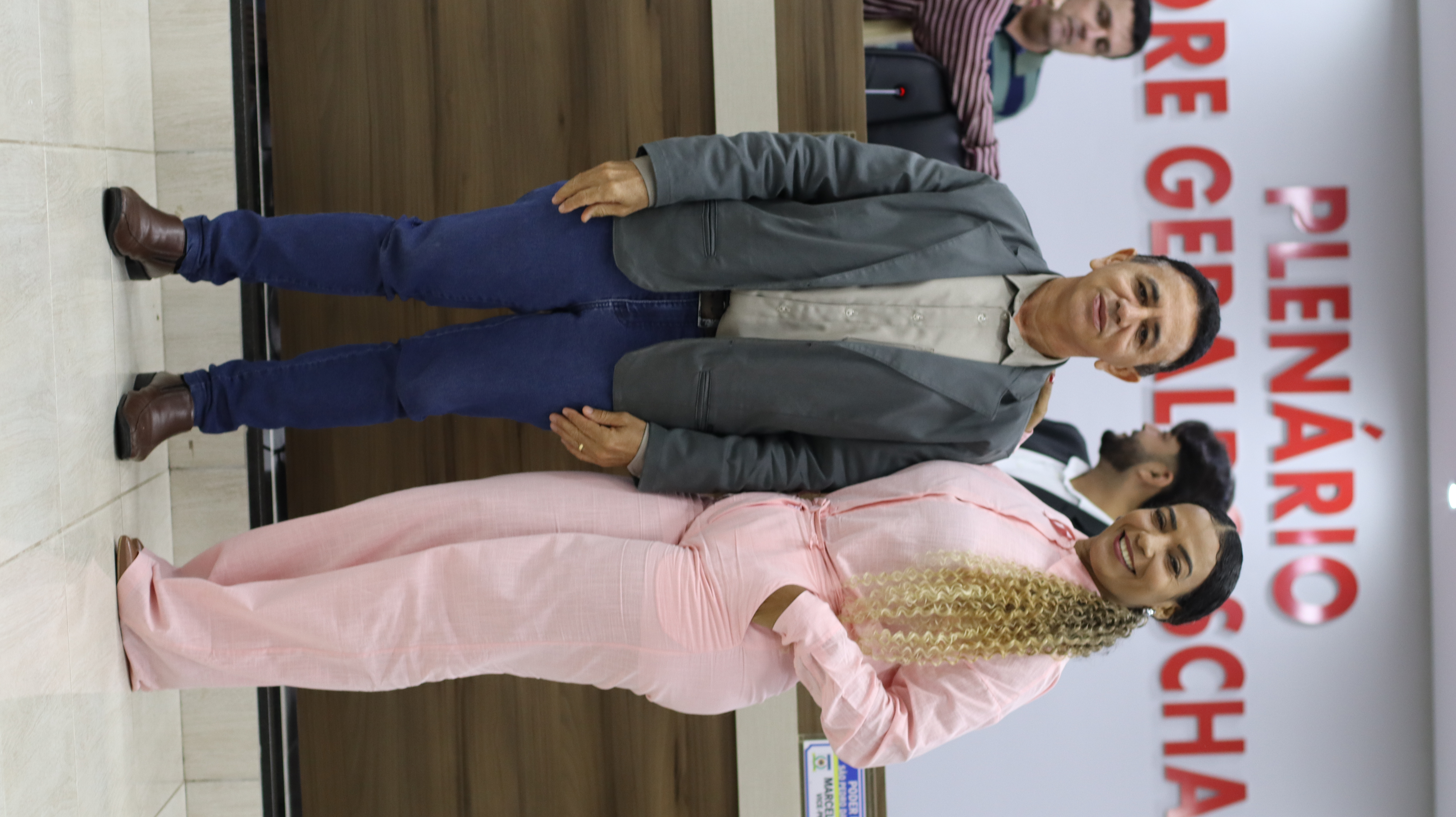 12ª Sessão Plenária