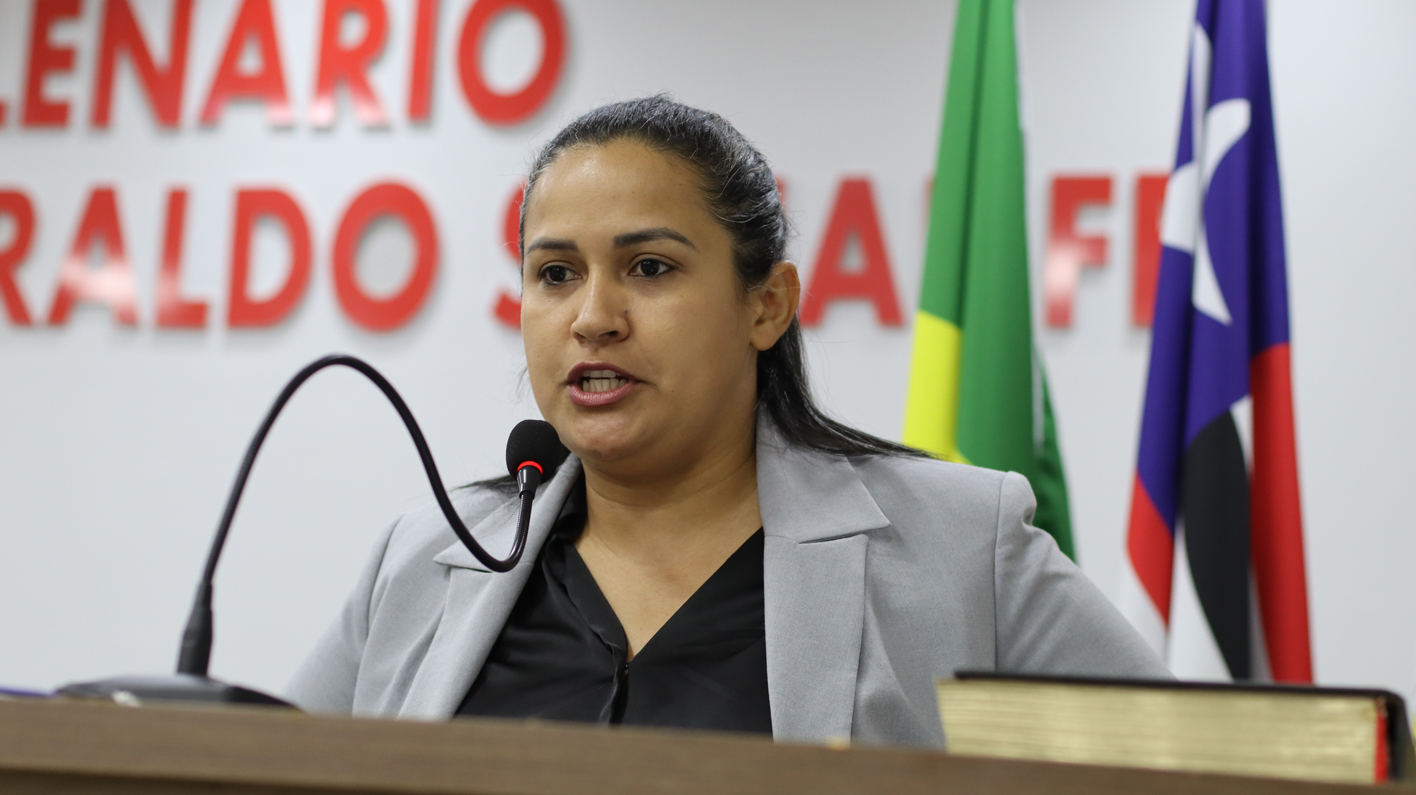 24° SESSÃO PLENÁRIA