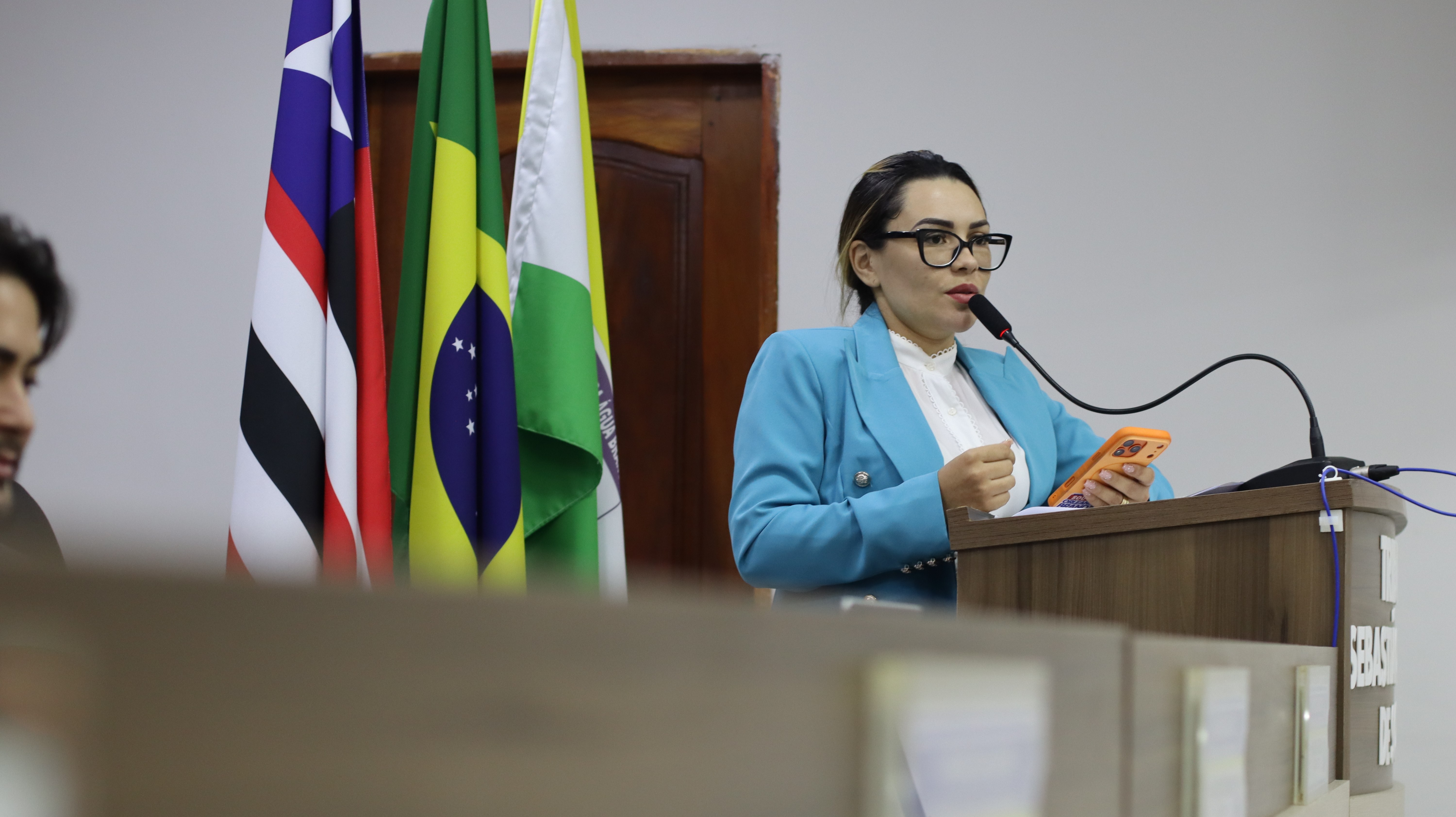 4 Sessão Plenária  Ordinária