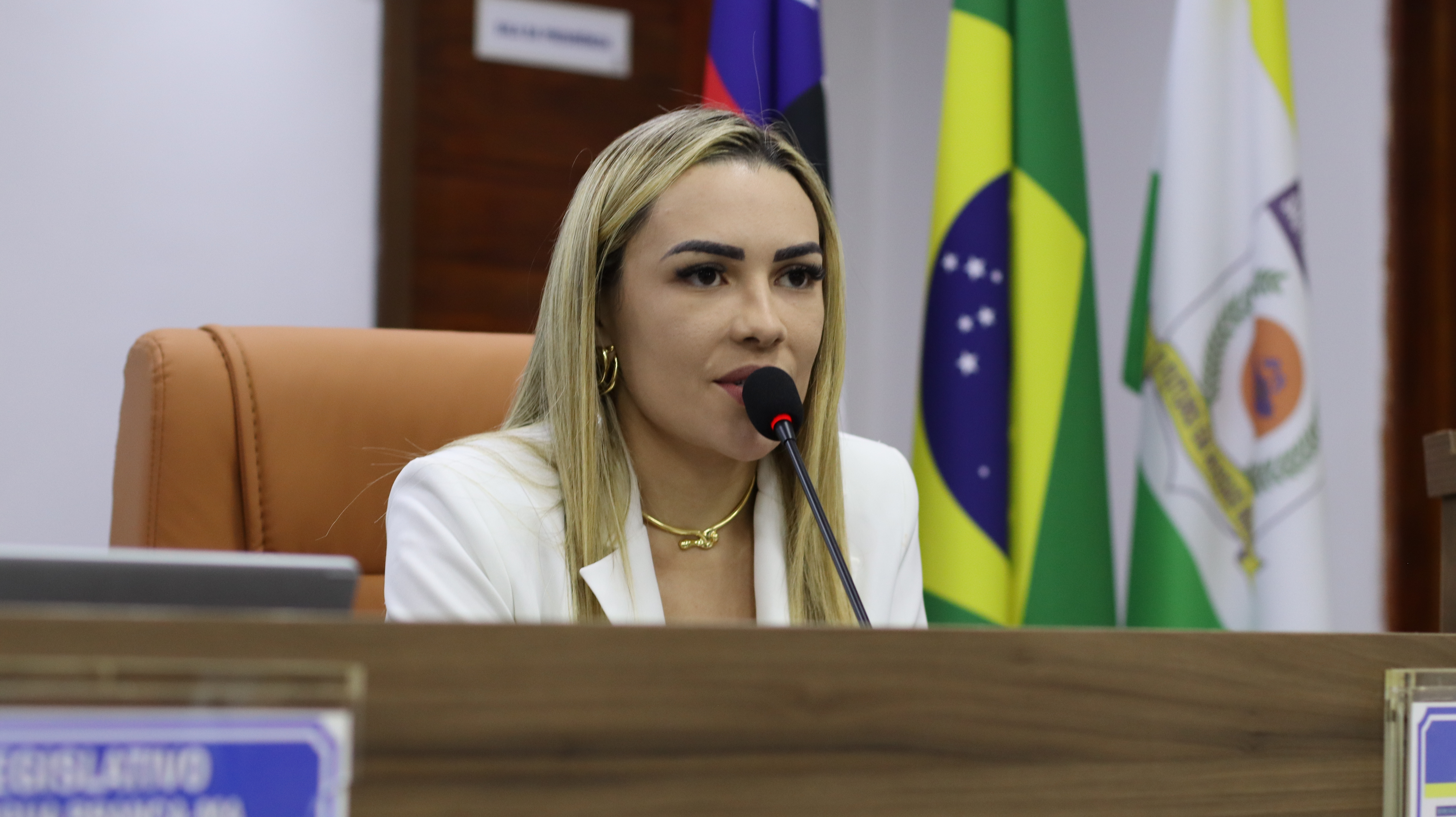 28ª SESSÃO PLENÁRIA