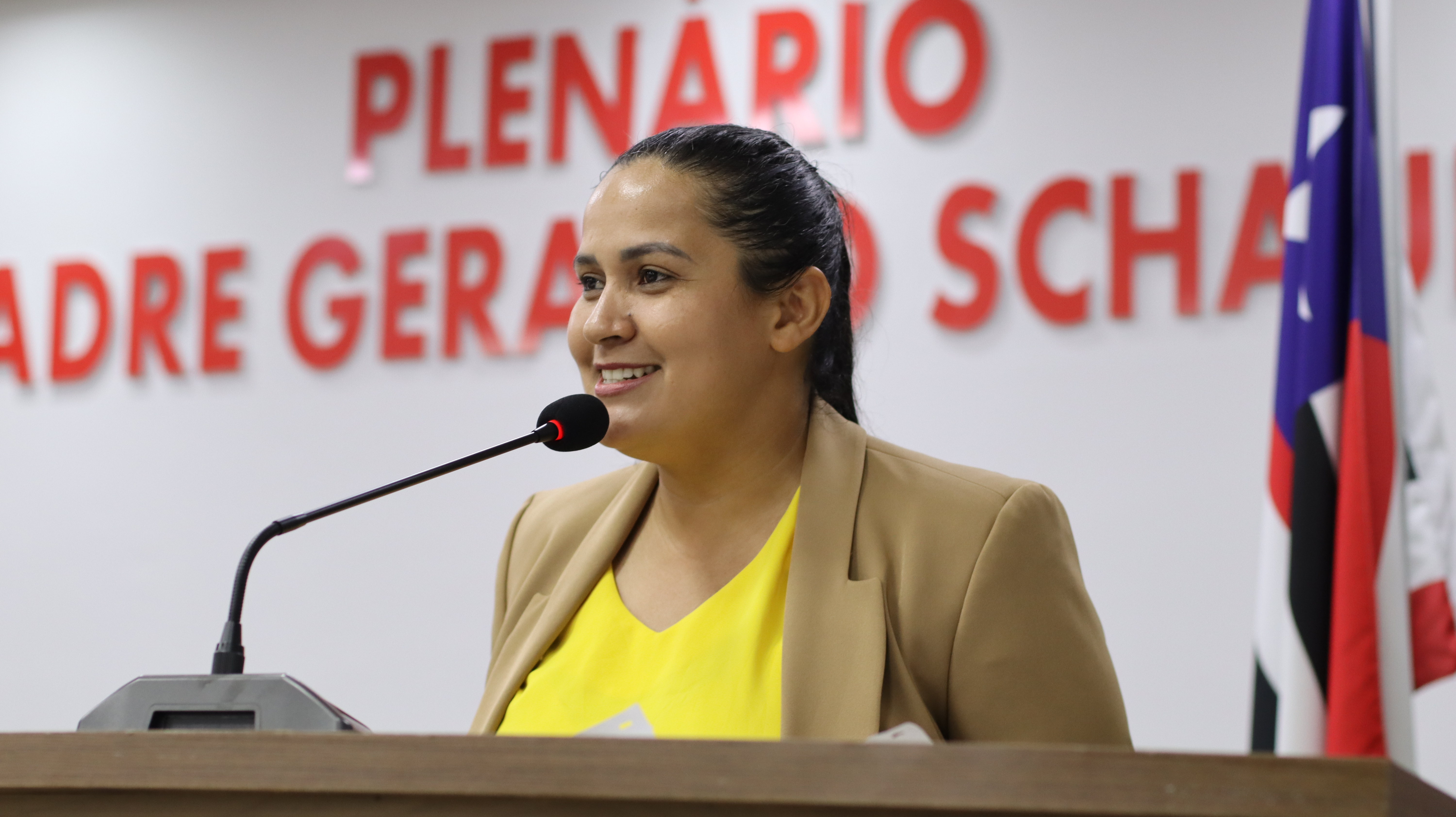 9ª Sessão Plenária