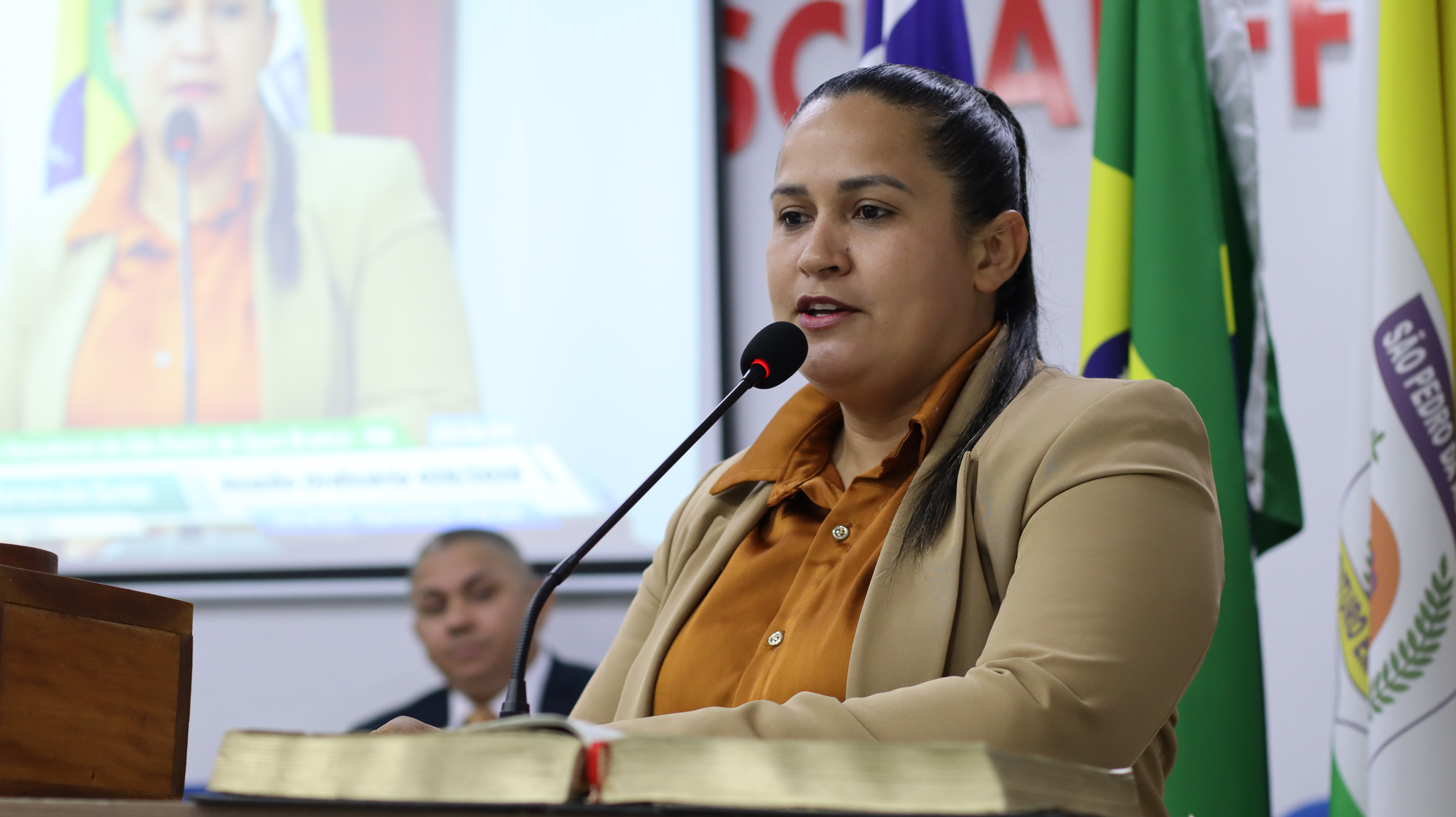 28ª SESSÃO PLENÁRIA