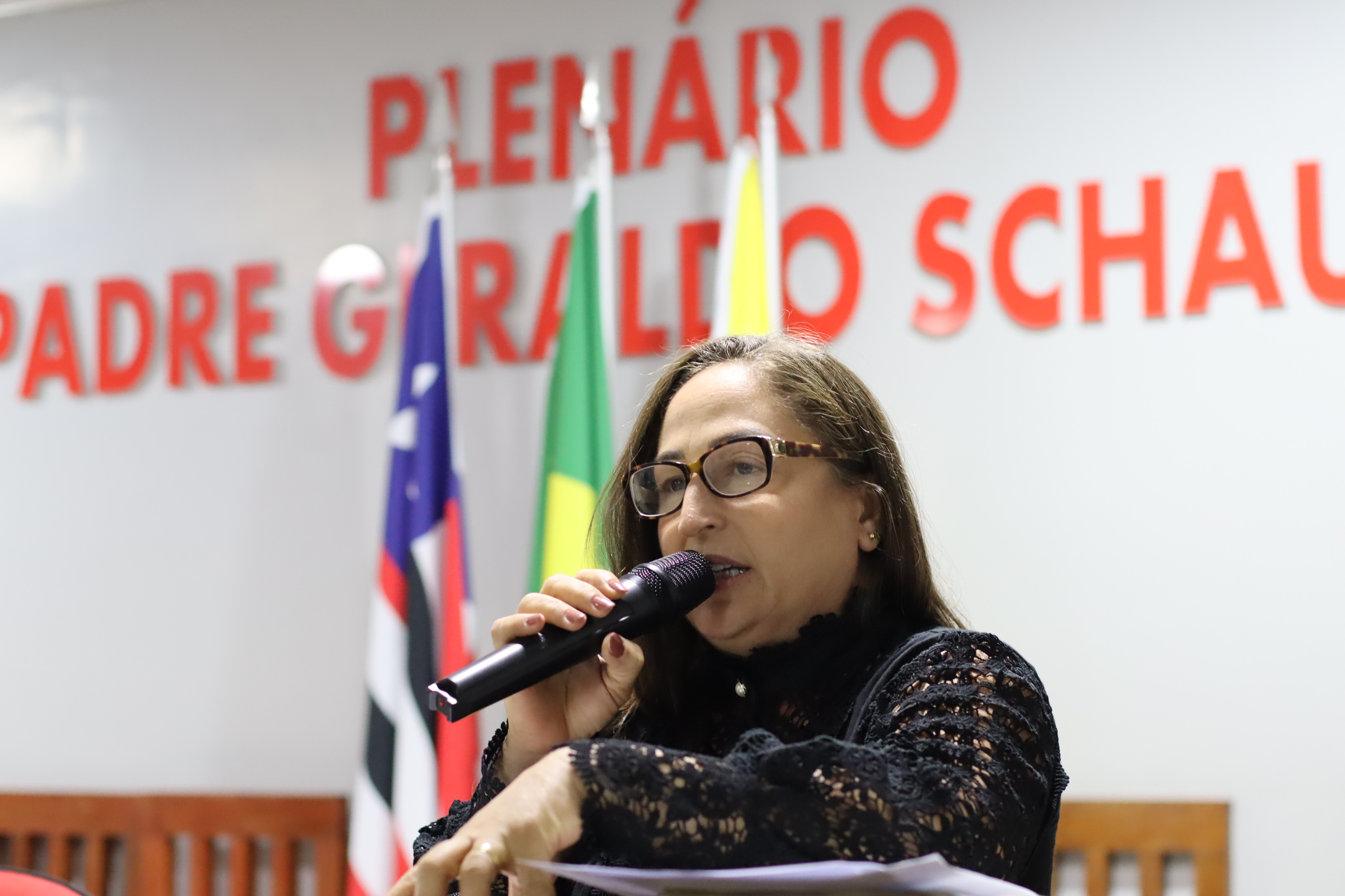 8ª Sessão Plenária