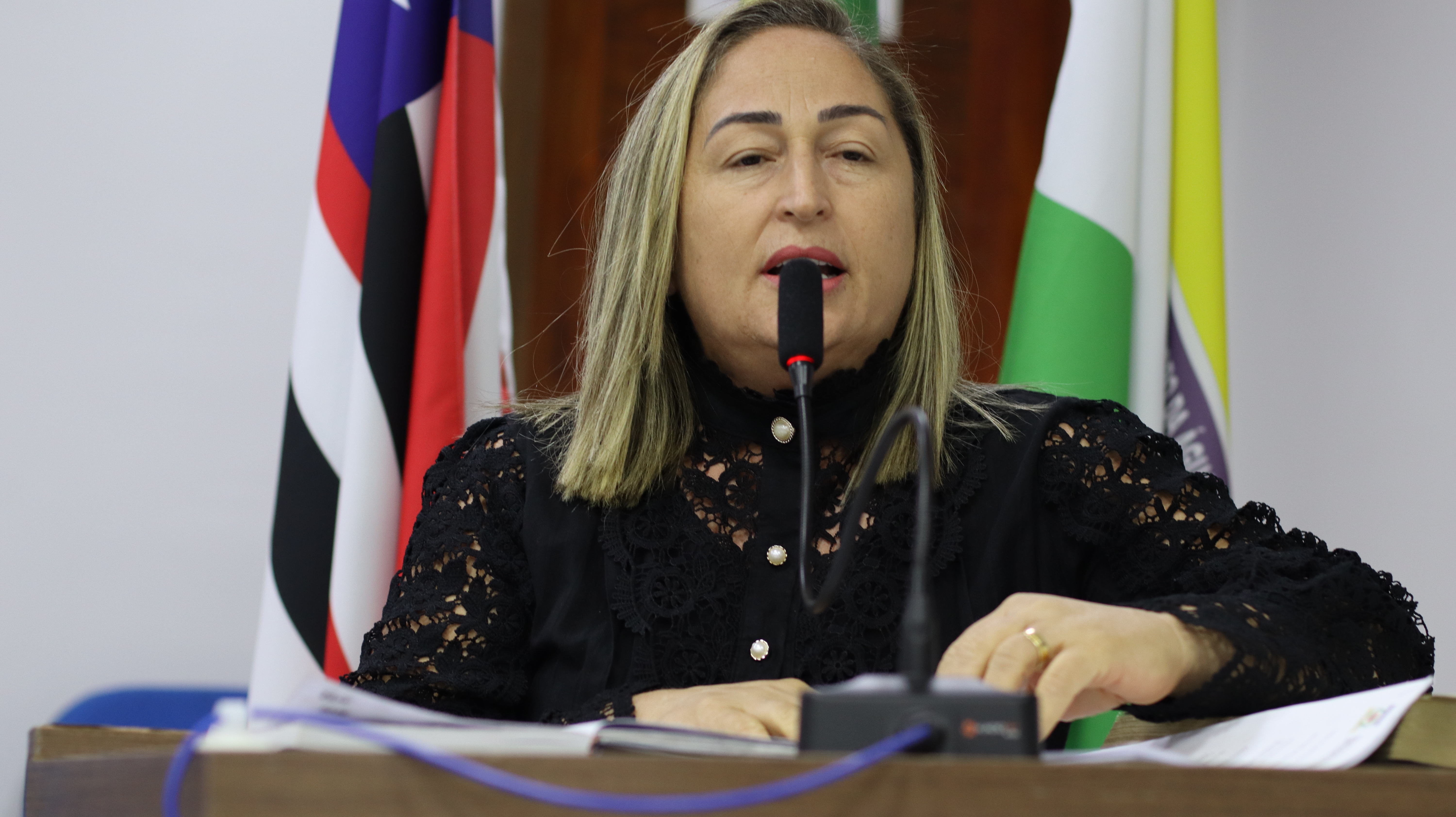 4 Sessão Plenária  Ordinária