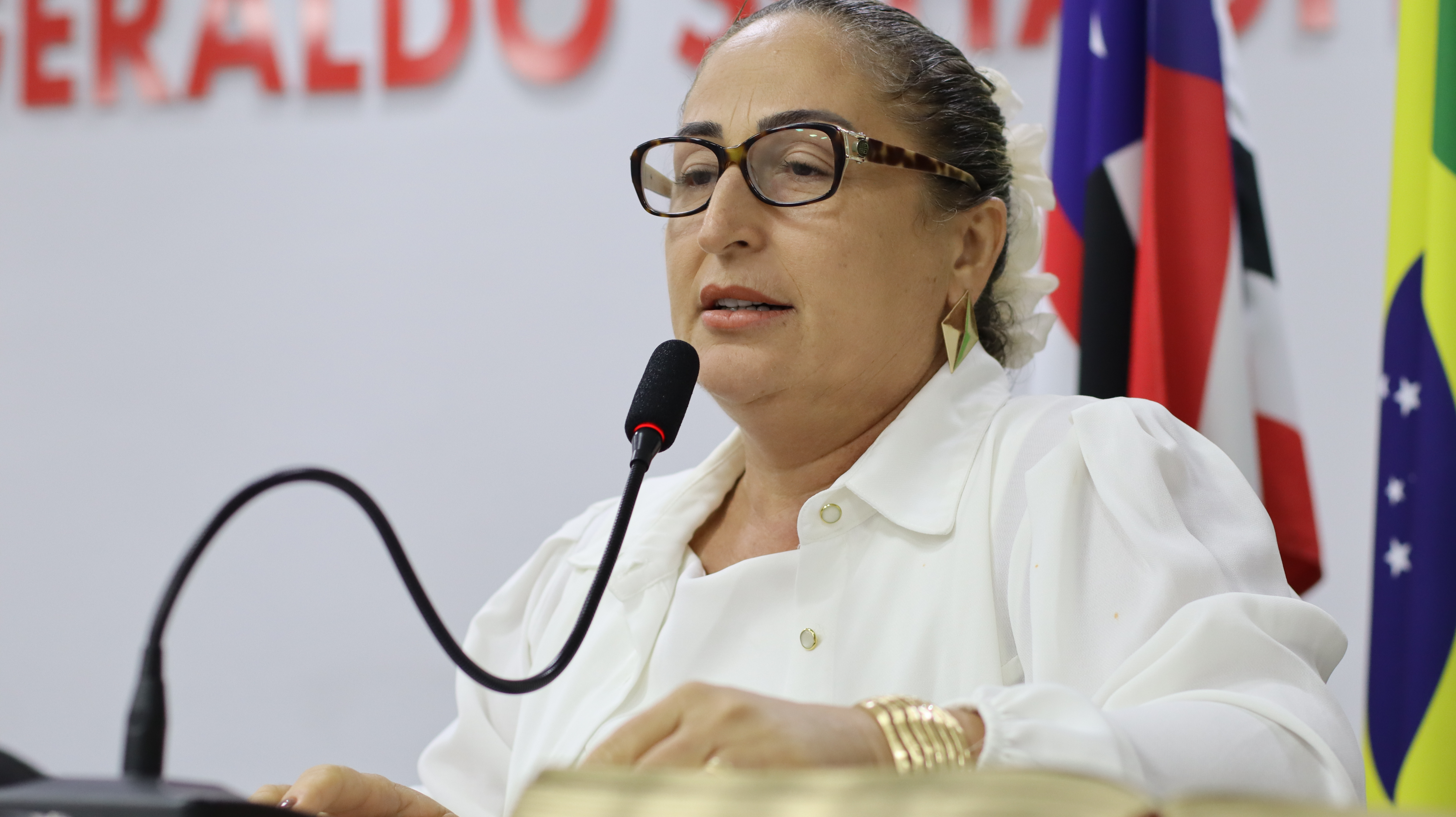 3º Sessão Plenária Ordinária