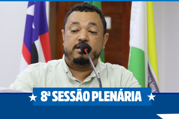 8ª Sessão Plenária