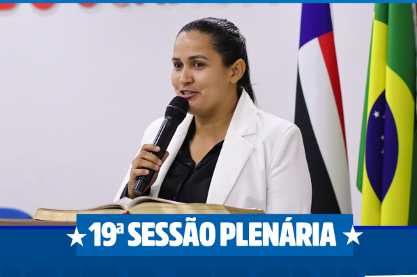 19° SESSÃO PLENÁRIA