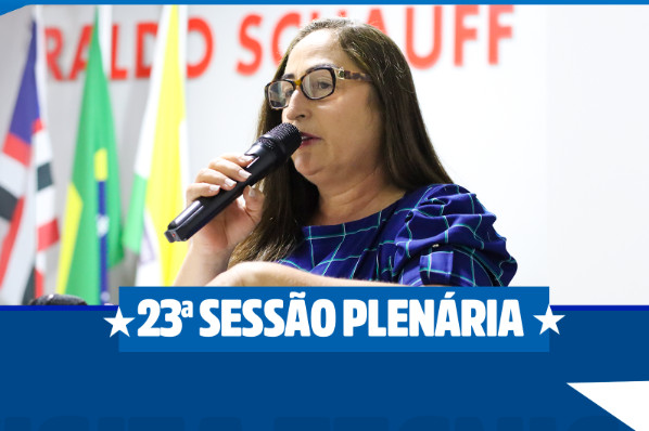 23ª SESSÃO PLENÁRIA ORDINÁRIA