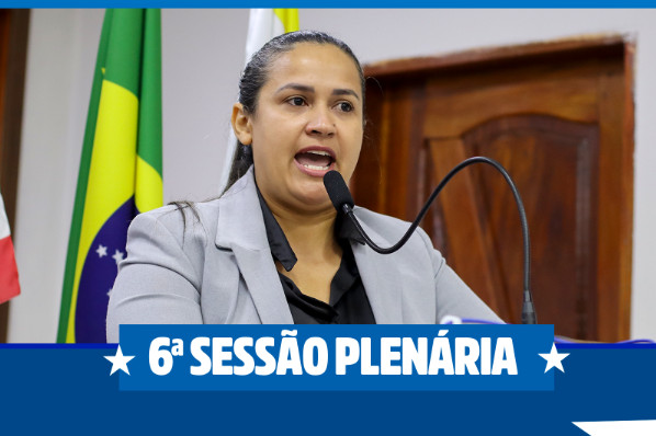 6ª Sessão Plenária