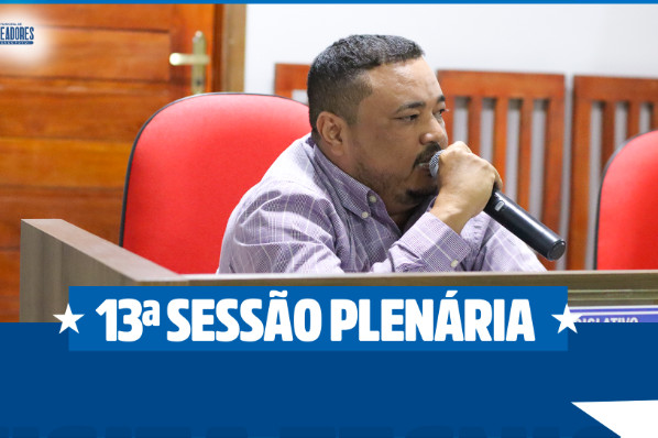 13ª SESSÃO PLENÁRIA